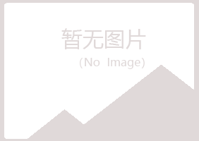 四川忆山能源有限公司